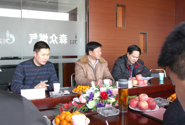林口县政府与半岛平台在线登入-半岛(中国)燃气项目洽谈.png
